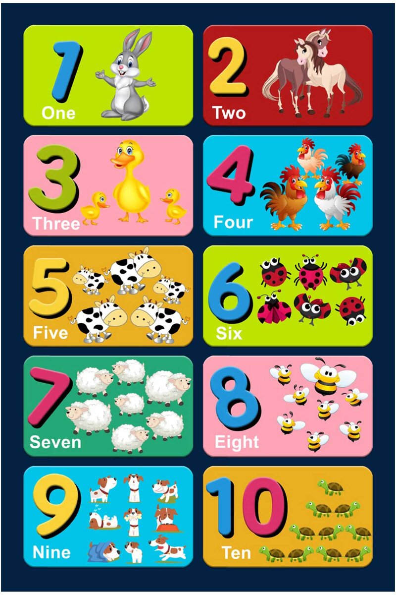 Frenda Home Çocuk Eğitici Renkli Rakamlar ve Sayılar Anaokulu Kreş Halısı - 2